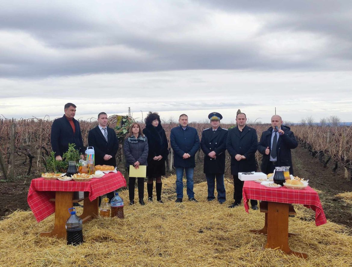 Плевен чества лозарите с вино и танци в Института._65cca8df551d0.jpeg