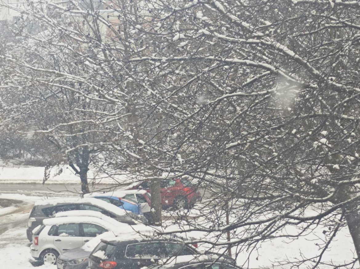 Пътищата в Плевен проходими при сняг, електроаварии от мокър сняг_676d38f628507.jpeg