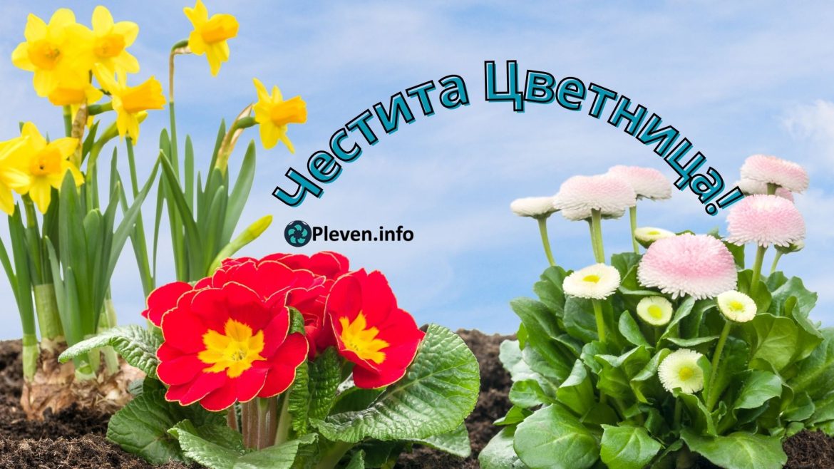 cvetnica_pleven.info