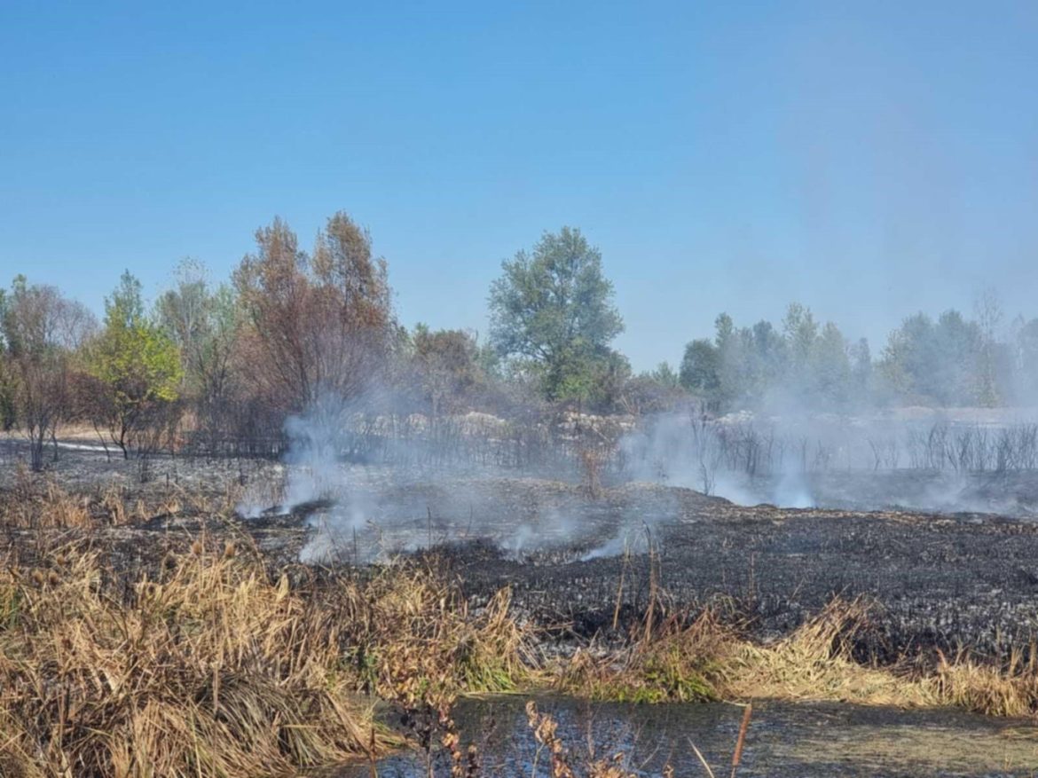 Община Плевен планира запръстяване на огнищата край Ясен след съгласуване._68d3ae35c21bc.jpeg