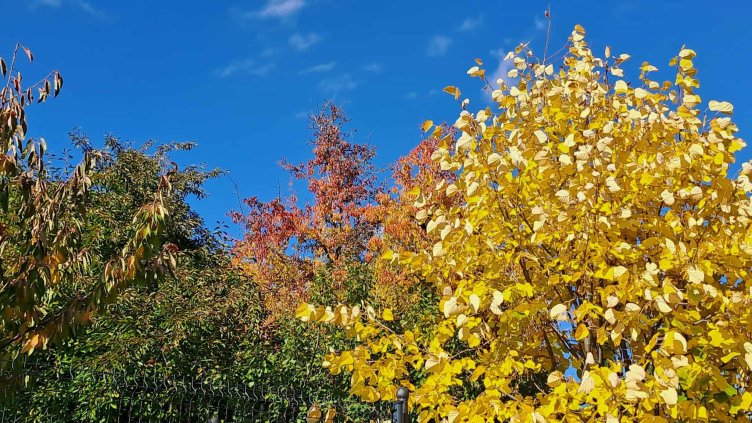 Циганско лято на Балканите: Топло време и над 20 градуса в България през ноември, според проф. Рачев_6900d03b8595b.jpeg