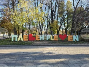 Община Плевен набира доброволци за преброяване на безстопанствените кучета през октомври