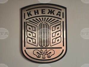 Полицията в Кнежа е работила по 938 преписки и е участвала в разкриването на 37 престъпления за девет месеца